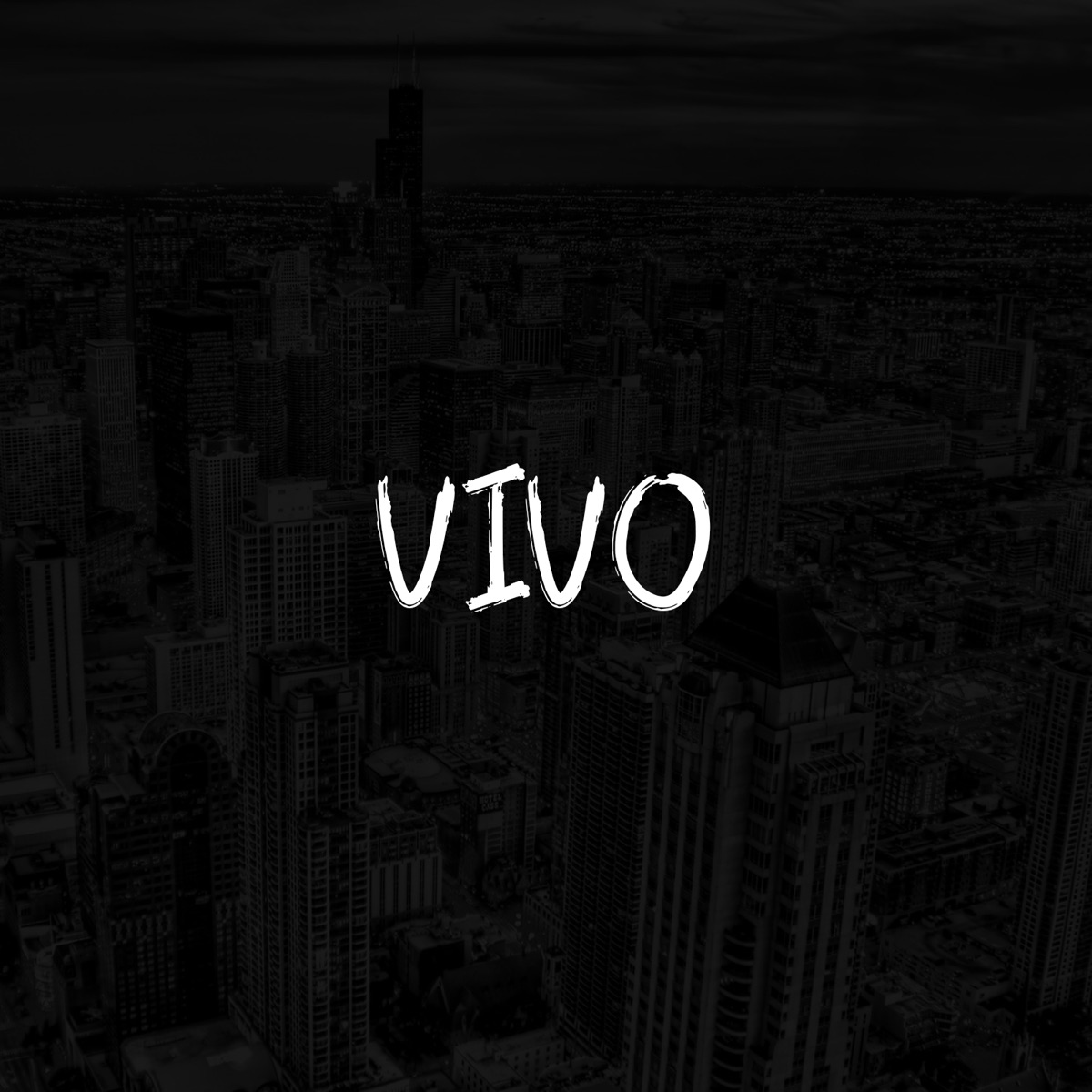 Vivo - Single by Nav Mc album cover
