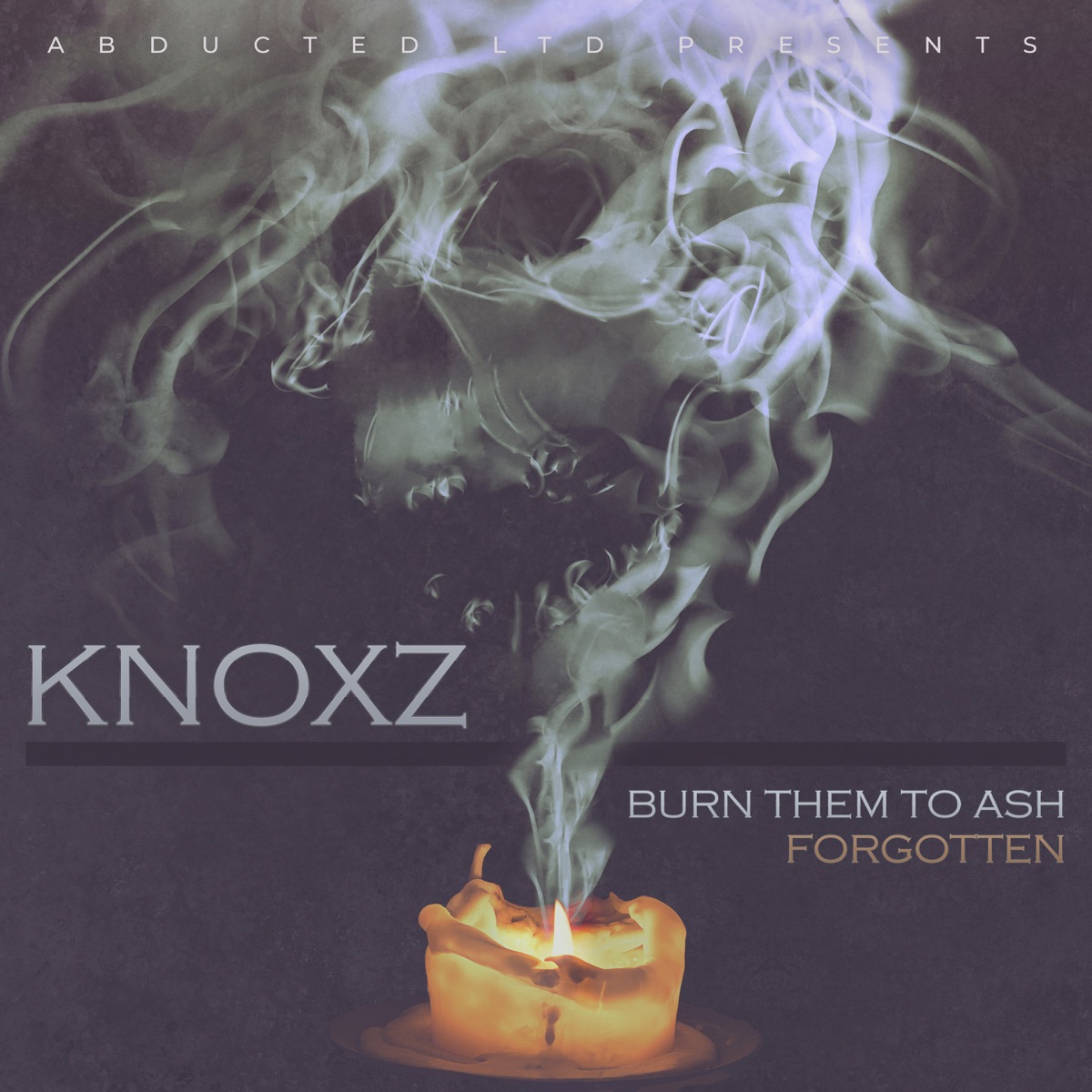 Burn Them To Ash / Forgotten - Single by KNOXZ album cover