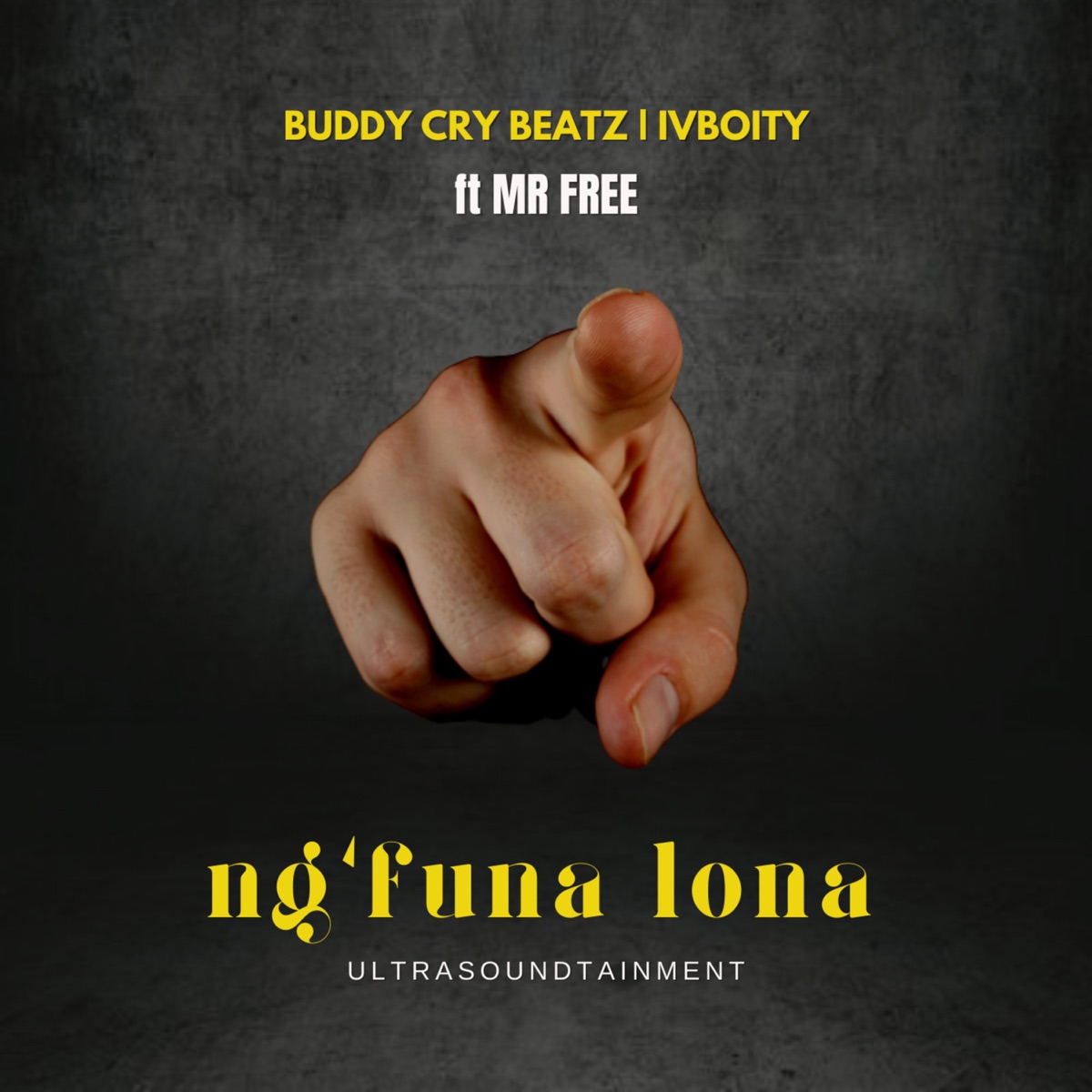 Ng'funa Lona (feat. MR Free) - Single by BUDDY CRY BeatZ & IVBoity album cover