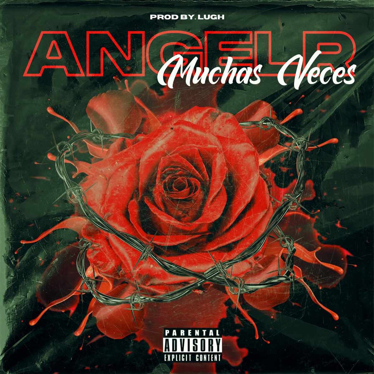 Muchas Veces - Single by AngelR album cover