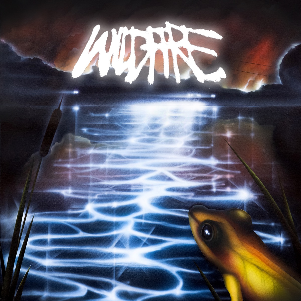 WiLDFiRE by fish narc album cover