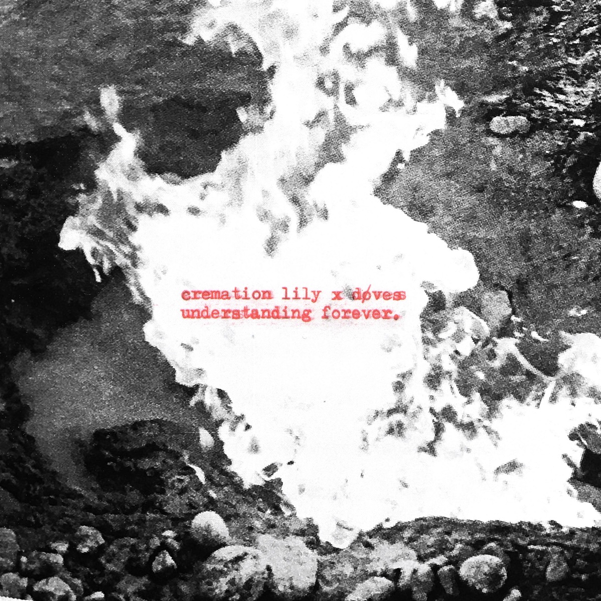 Understanding Forever (feat. døves) - Single by Cremation Lily & Døves album cover
