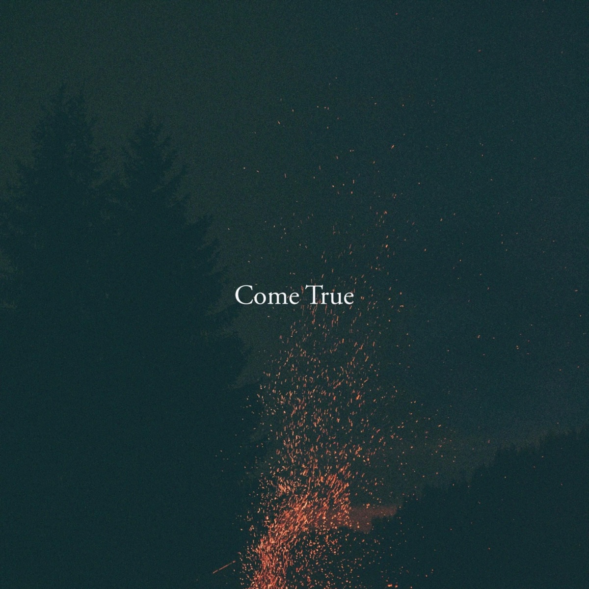 Come True - Single by khai dreams & Forest album cover