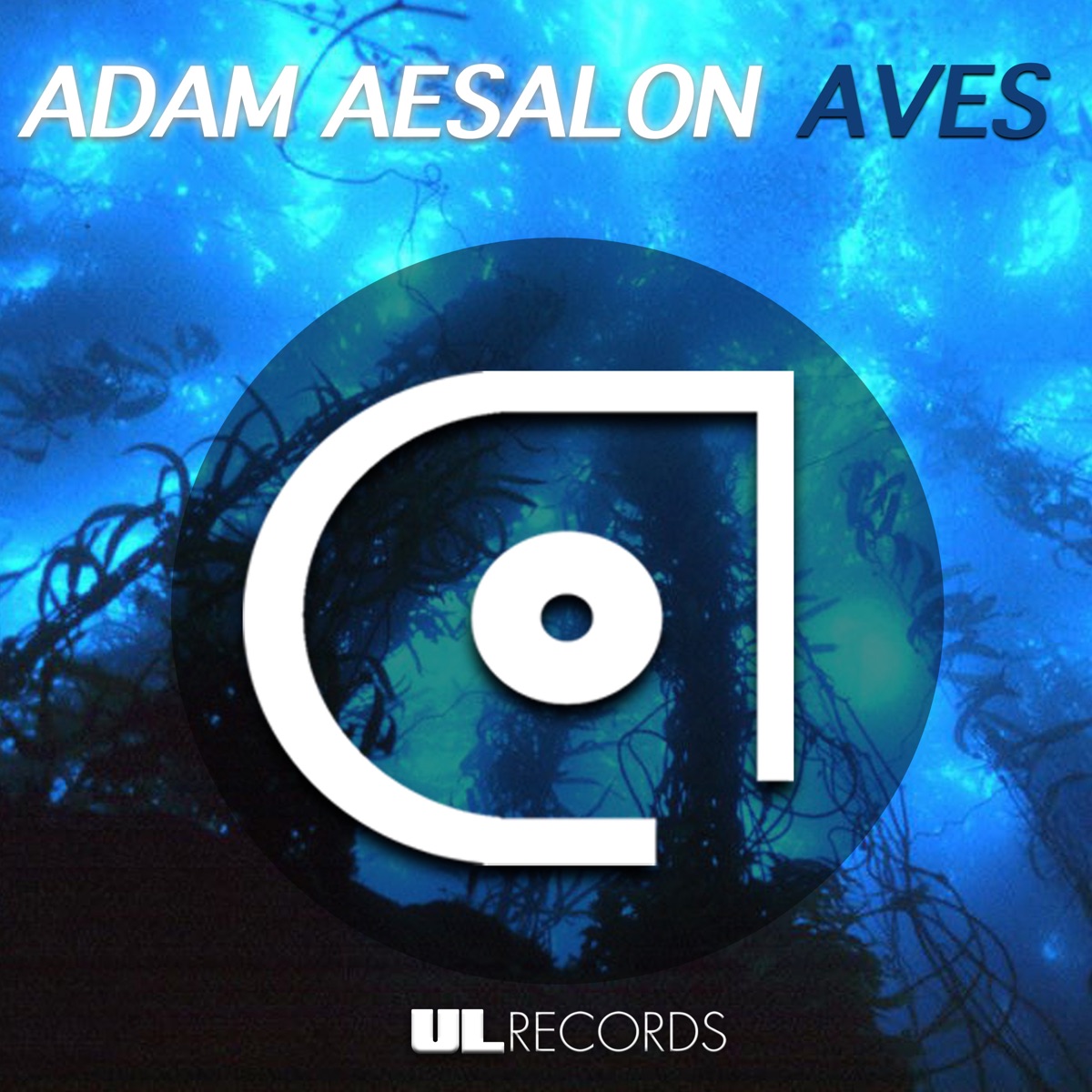 Aves - Single by Adam Aesalon album cover