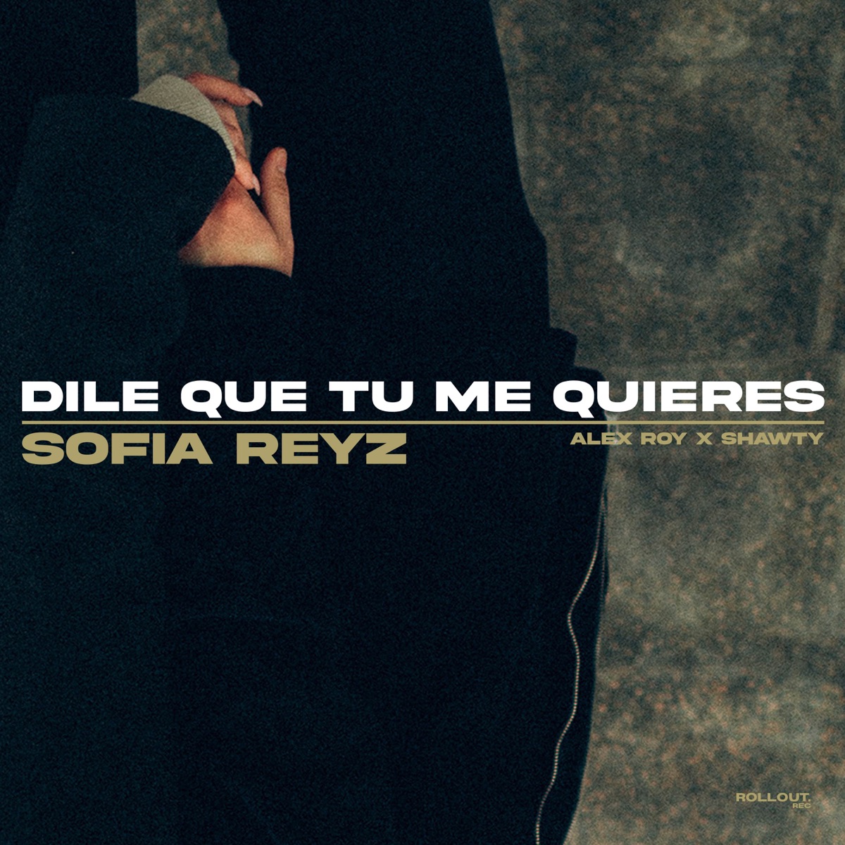Dile Que Tu Me Quieres - Single by Sofia Reyz, Alex Roy & Shawty Music album cover