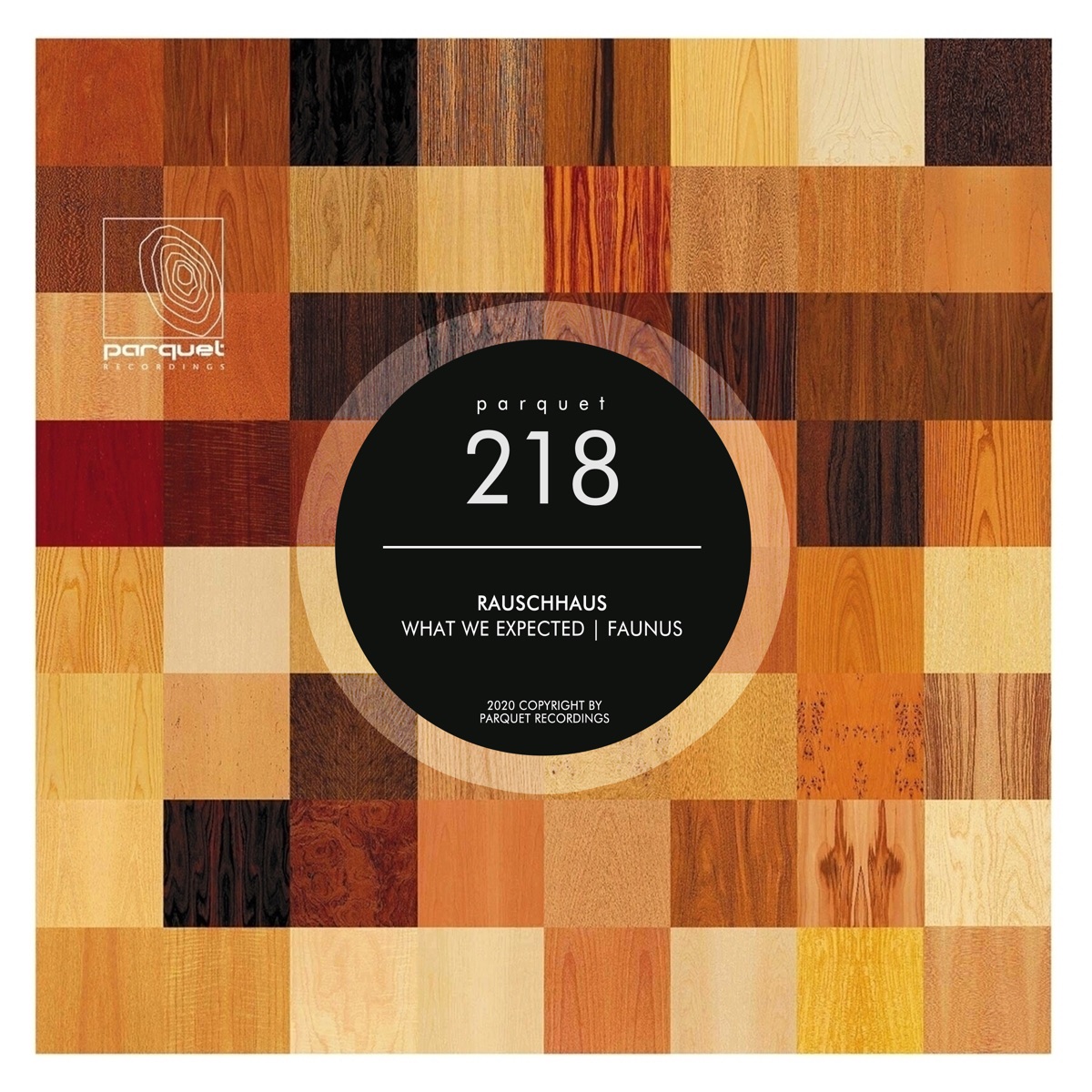 What We Expected  Faunus - Single by Rauschhaus album cover