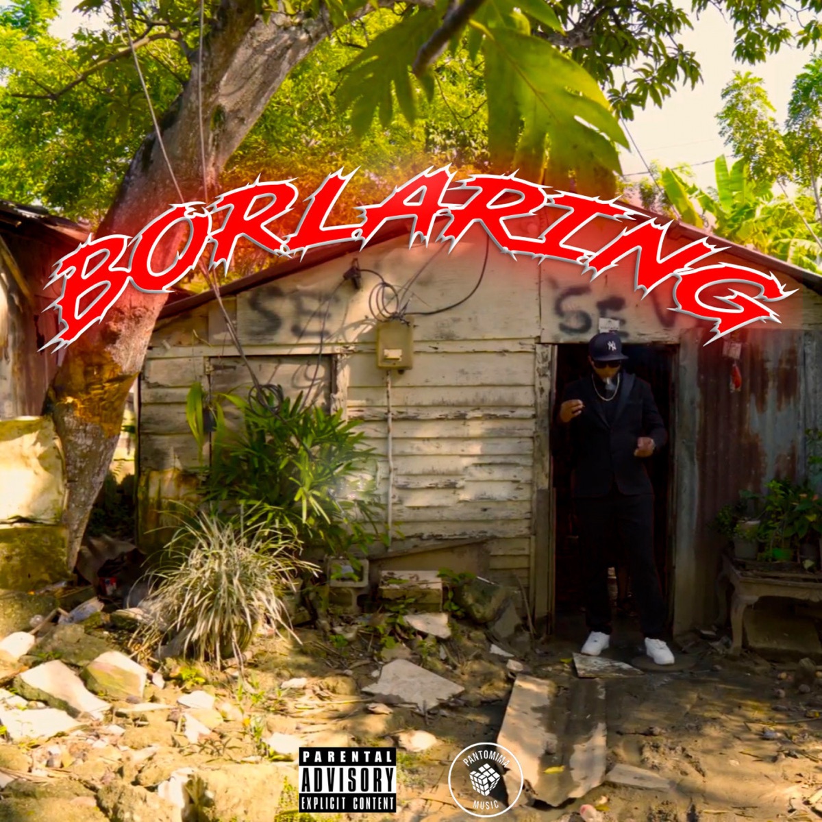 Borlaring - Single by Jezzy & Leo RD album cover