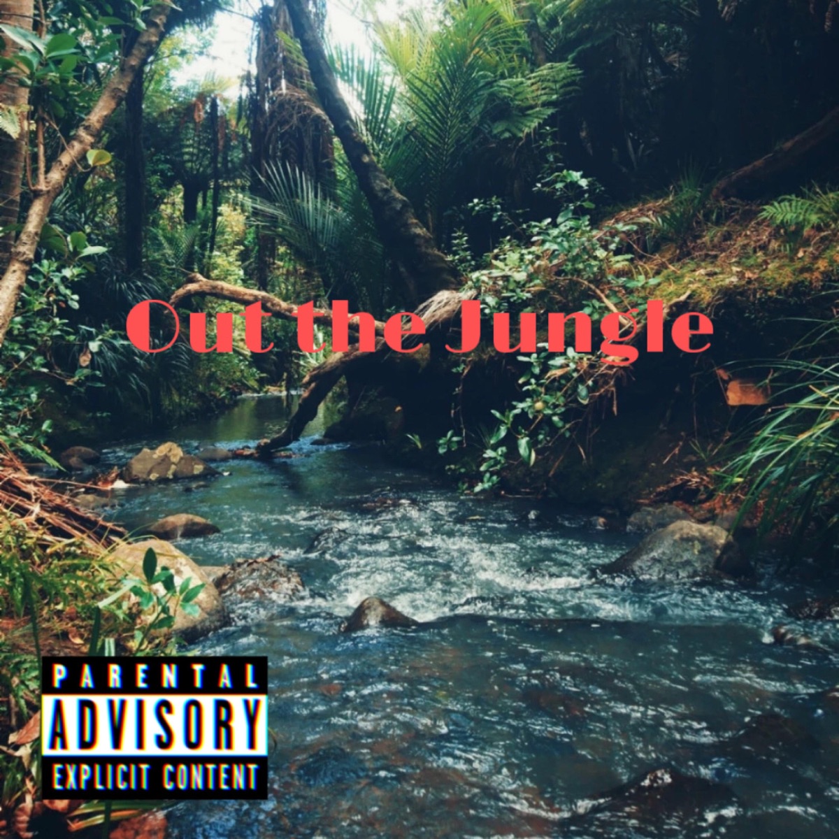 Out the Jungle - Single by Hollywood Mar album cover