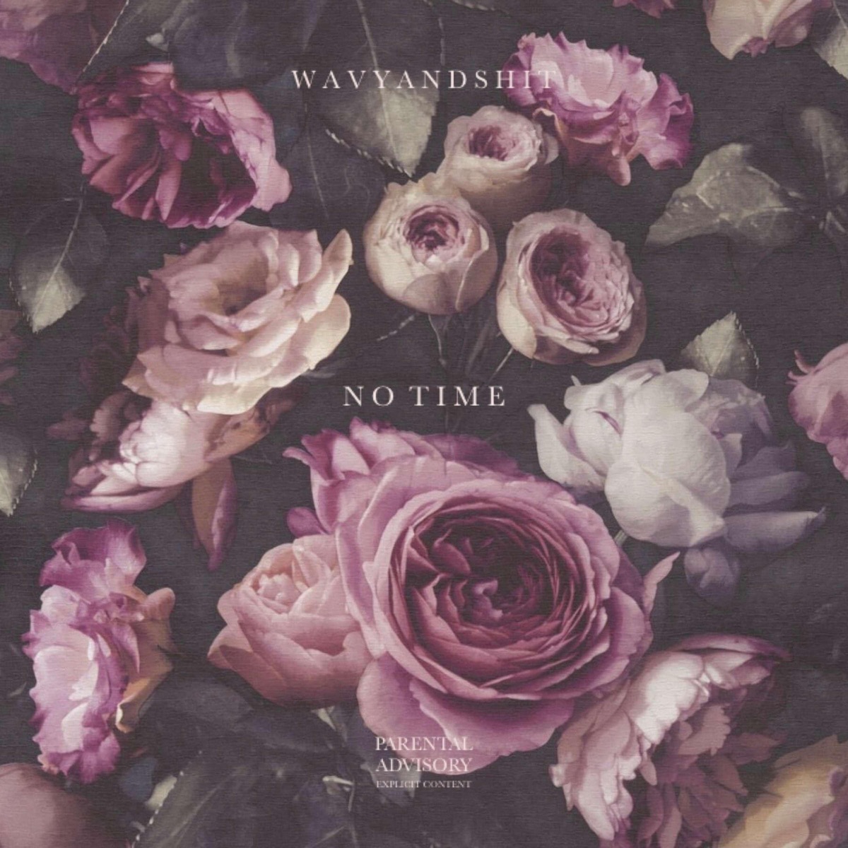 No Time - Single by Wavyandshit album cover