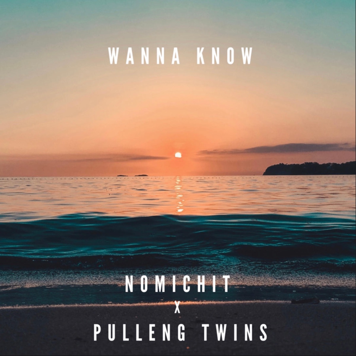 Wanna Know - Single by Nomichit & ThePullengTwins album cover