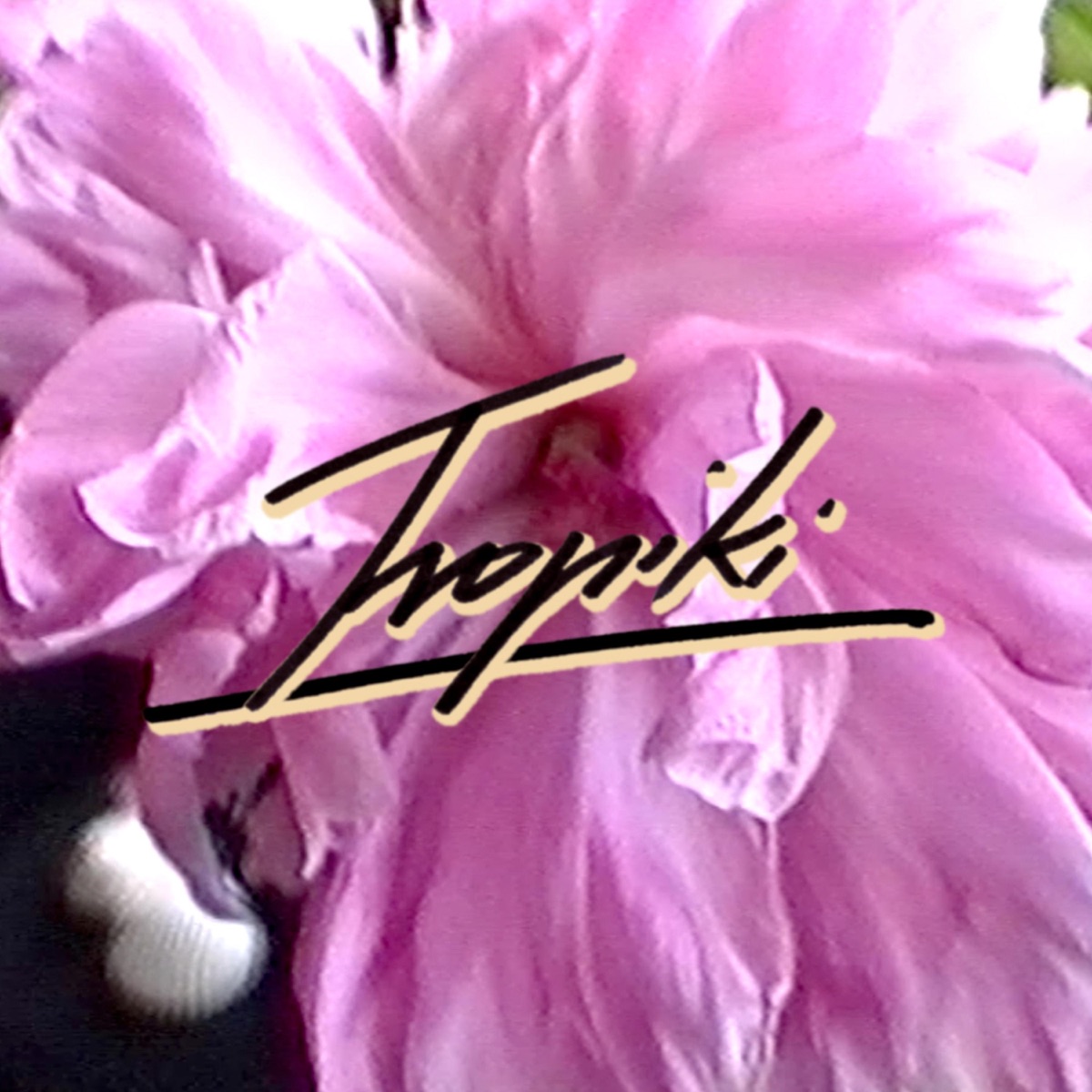 Wiosna '91 - Single by Tropiki album cover