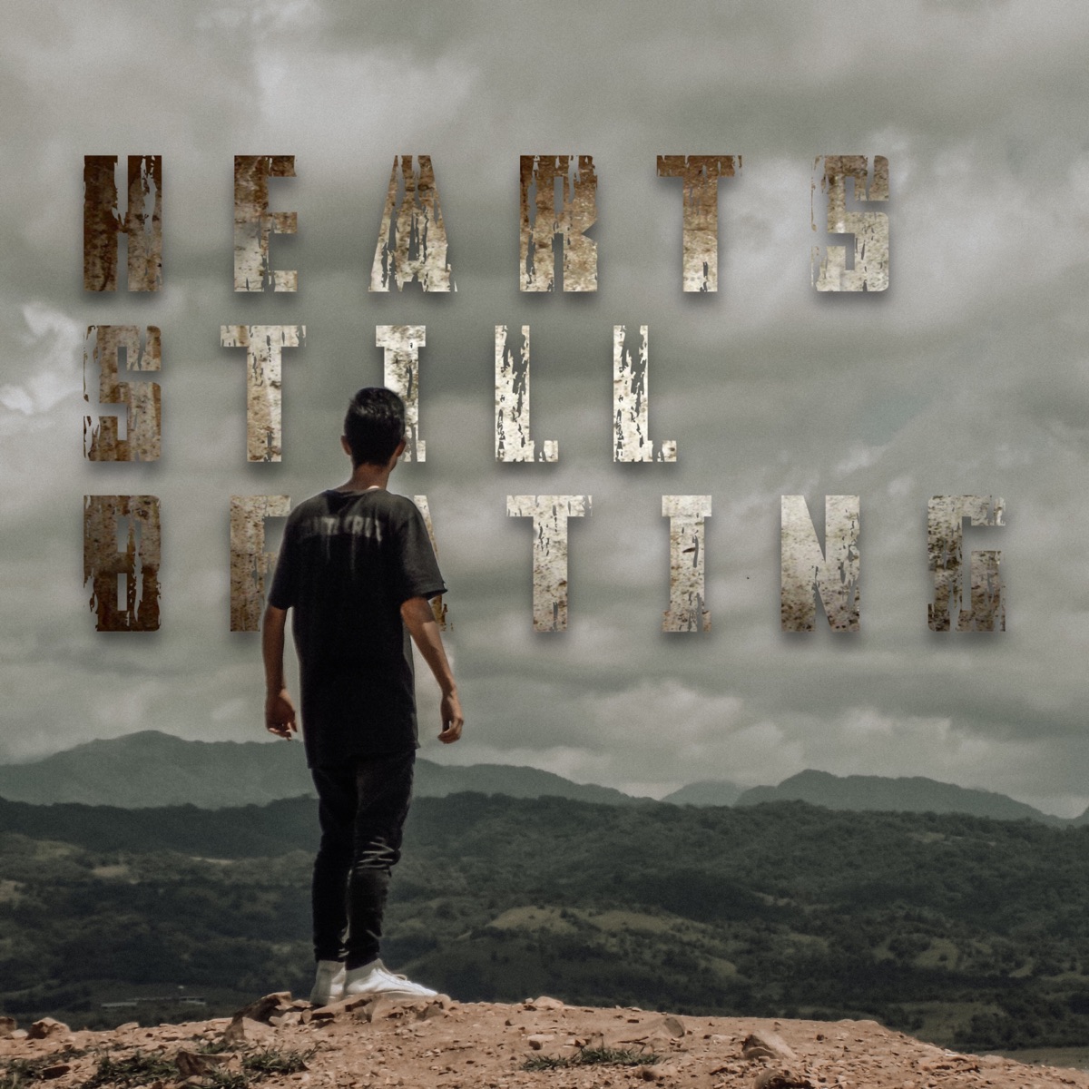 Hearts Still Beating - Single by Zann album cover