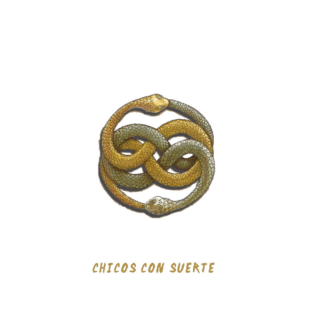 Chicos Con Suerte - Single by Fyrez Rivera album cover