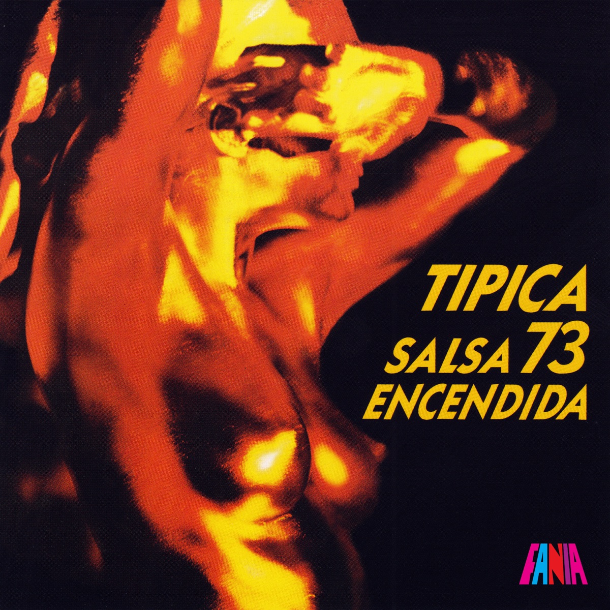 Salsa Encendida by Tipica 73 album cover
