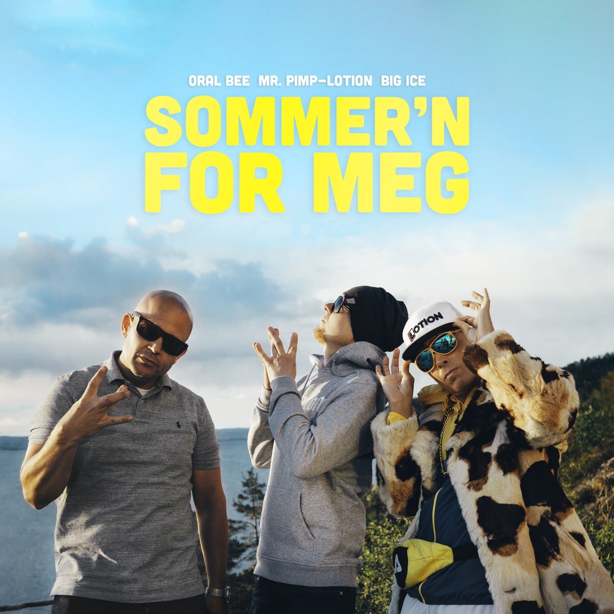 Sommer'n For Meg - Single by Oral Bee, Mr. Pimp-Lotion & Big Ice album cover