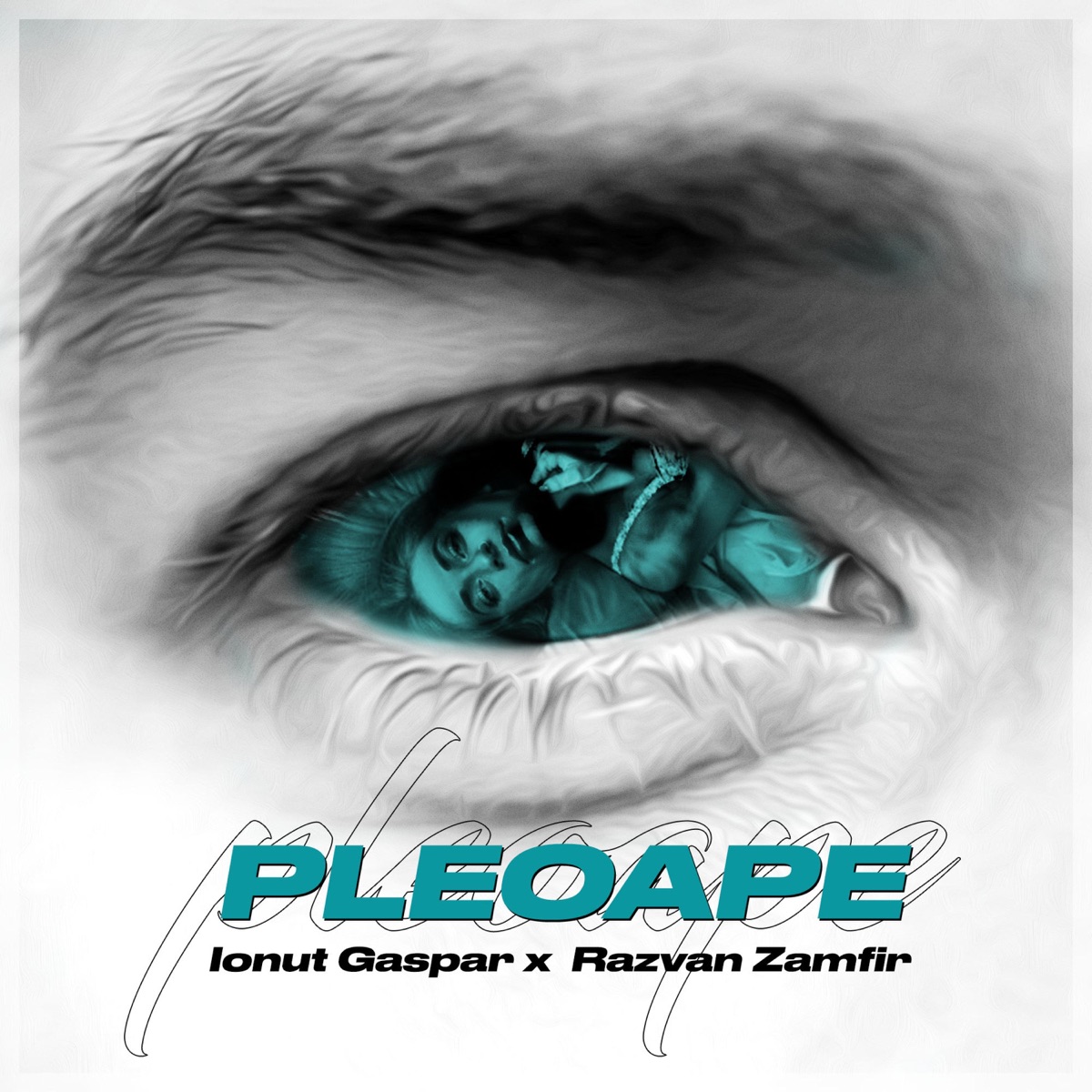 Pleoape (feat. Razvan Zamfir) - Single by Ionut Gaspar album cover