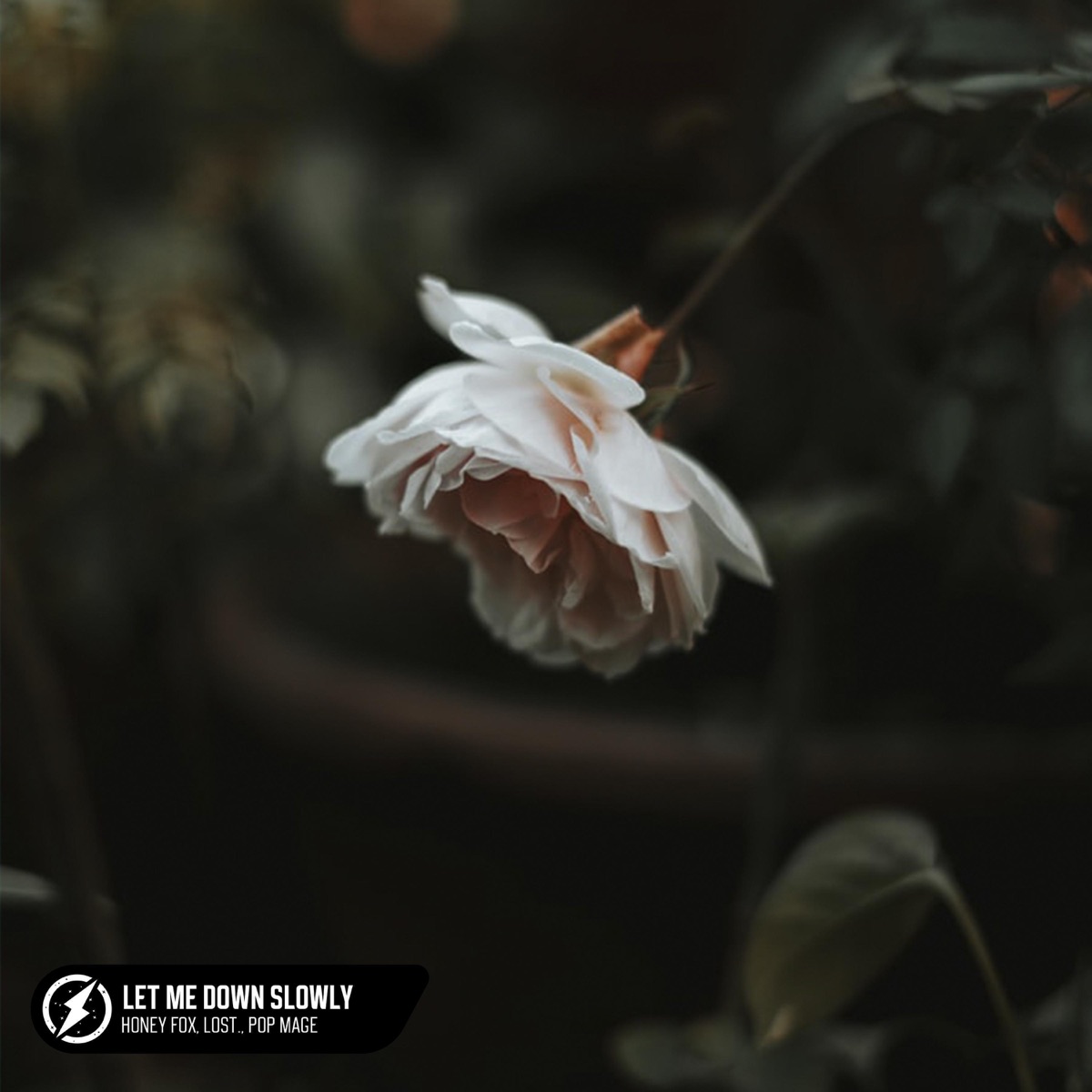 Let Me Down Slowly - Single by Honeyfox, L.O.S.T. & Pop Mage album cover