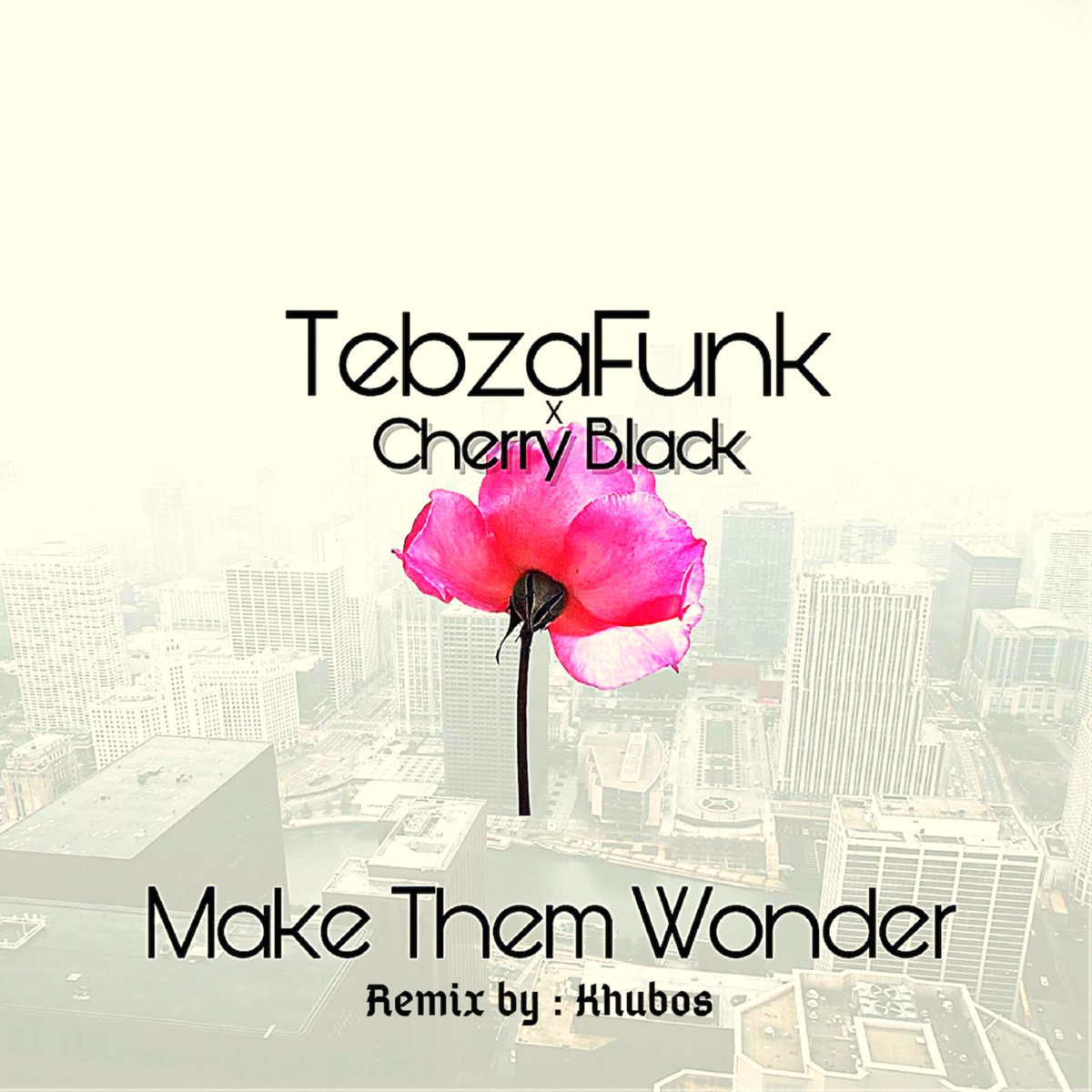 Make Them Wonder (Khubos Remix) - Single by TebzaFunk & Cherry Black album cover