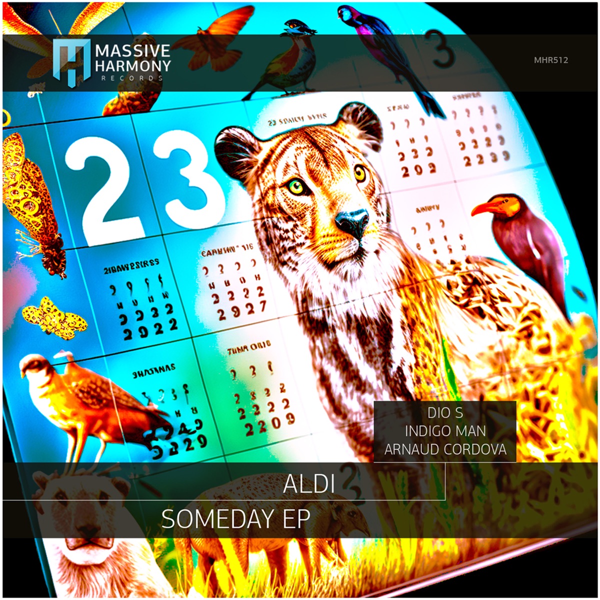 Someday (Indigo Man Remix) - Single by Aldi album cover