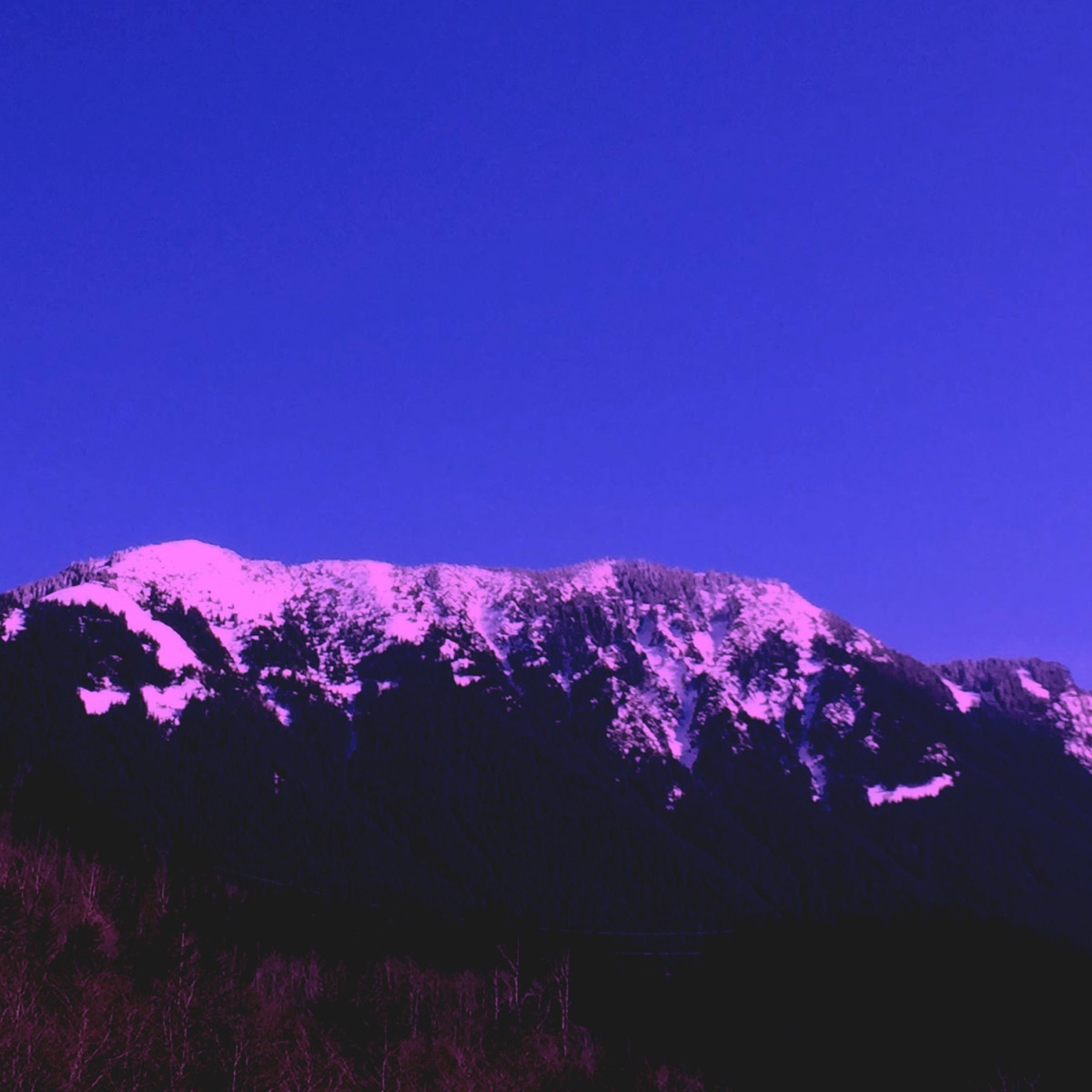 Fuji (Beat Tape 1) by Angry Apple album cover