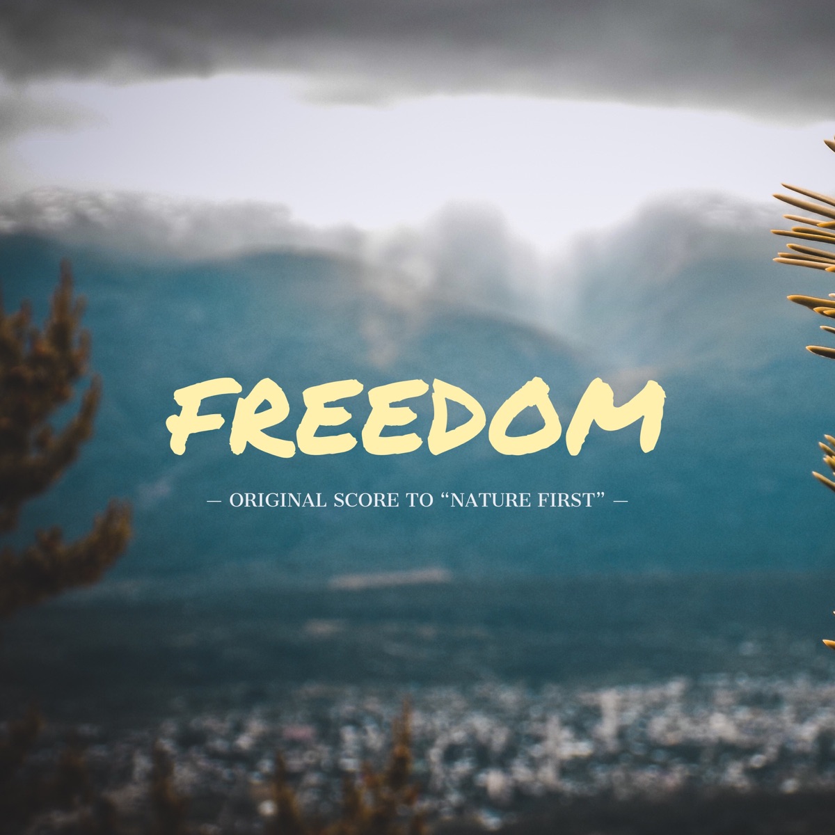 Freedom (Extended Version) - Single by Zann album cover