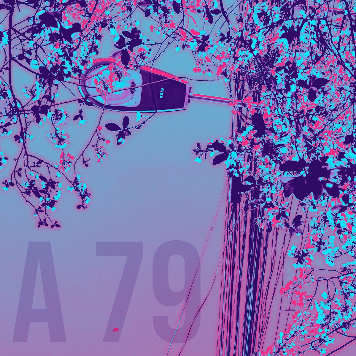 A 79 - Single by Yosoygka album cover