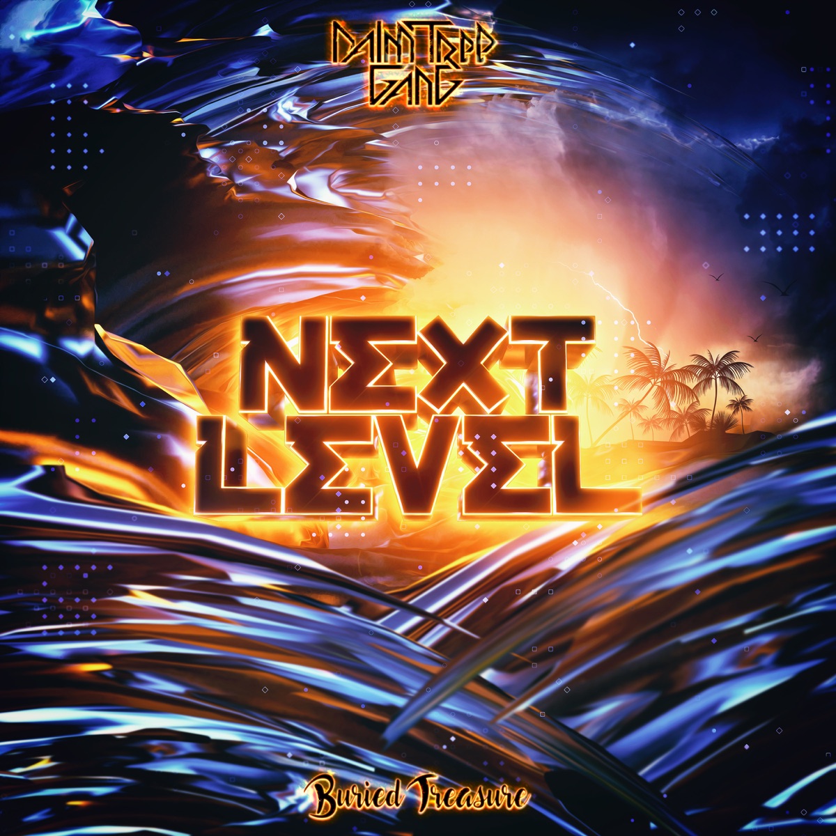 Next Level by Palm Tree Gang album cover