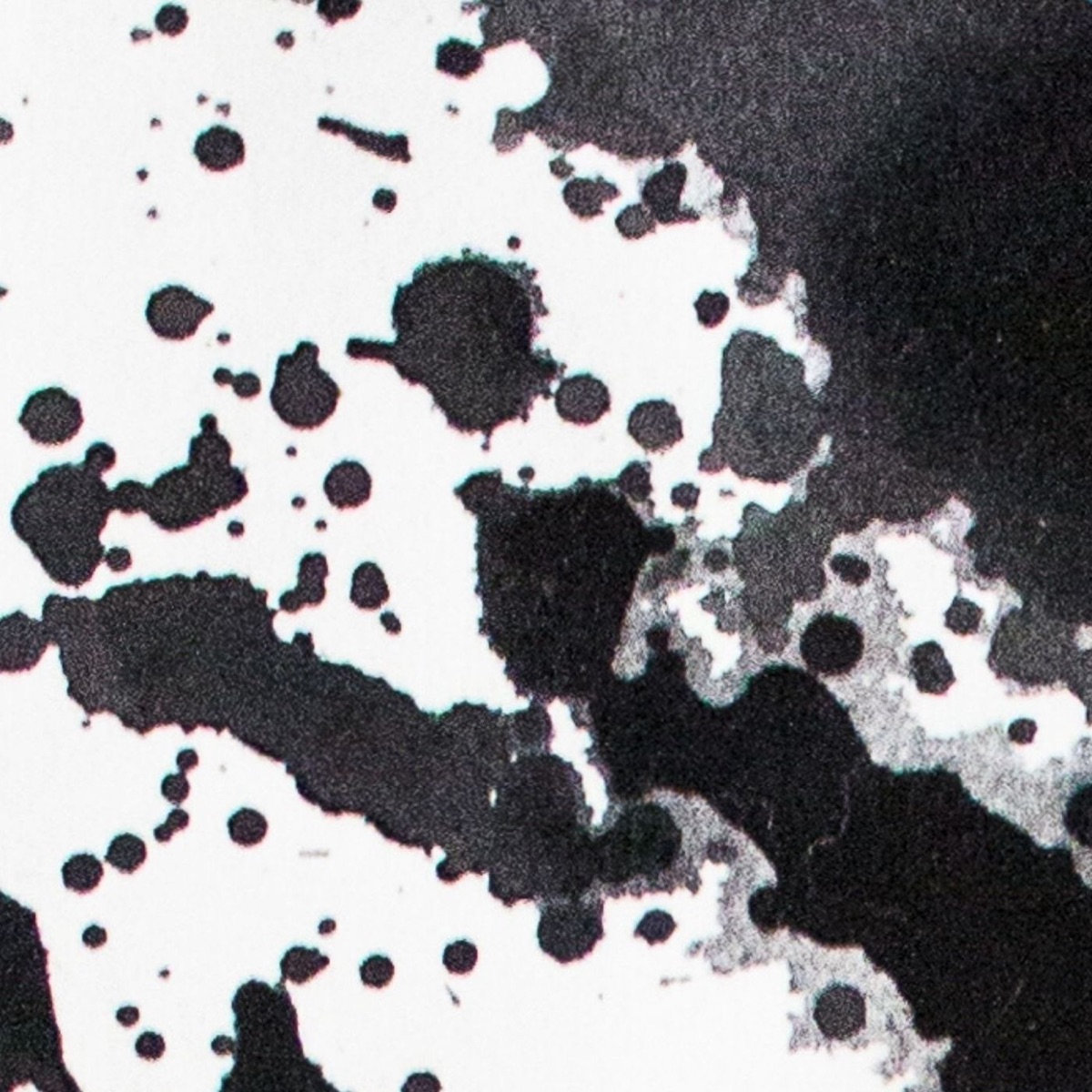 Contaminations by TANS album cover