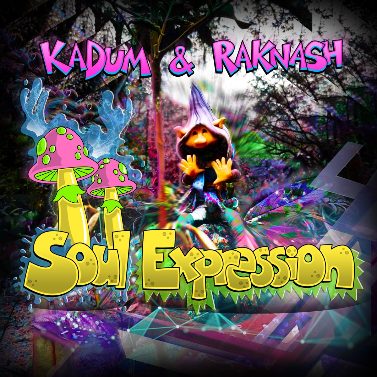 Soul Expression - Single by Kadum & Raknash album cover
