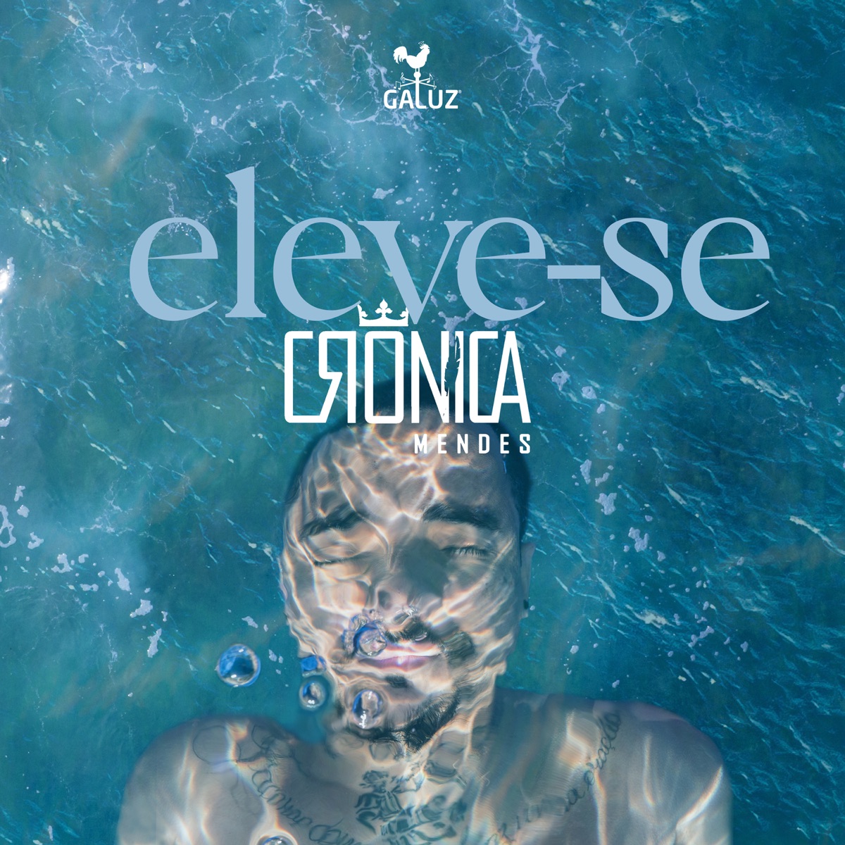 Eleve-Se by Crônica Mendes album cover