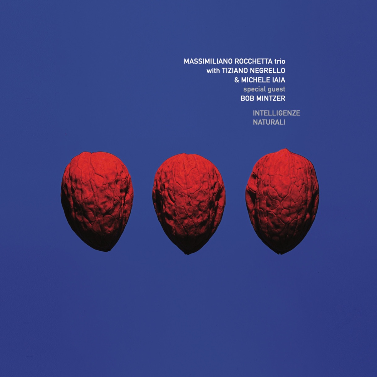 Intelligenze Naturali (with Tiziano Negrello & Michele Iaia) by Massimiliano Rocchetta album cover