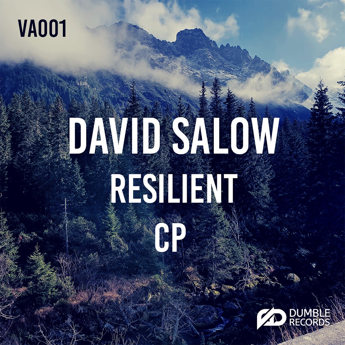 V.A. Shiring, 2019 - Single by David Salow, cp9 & resilient album cover