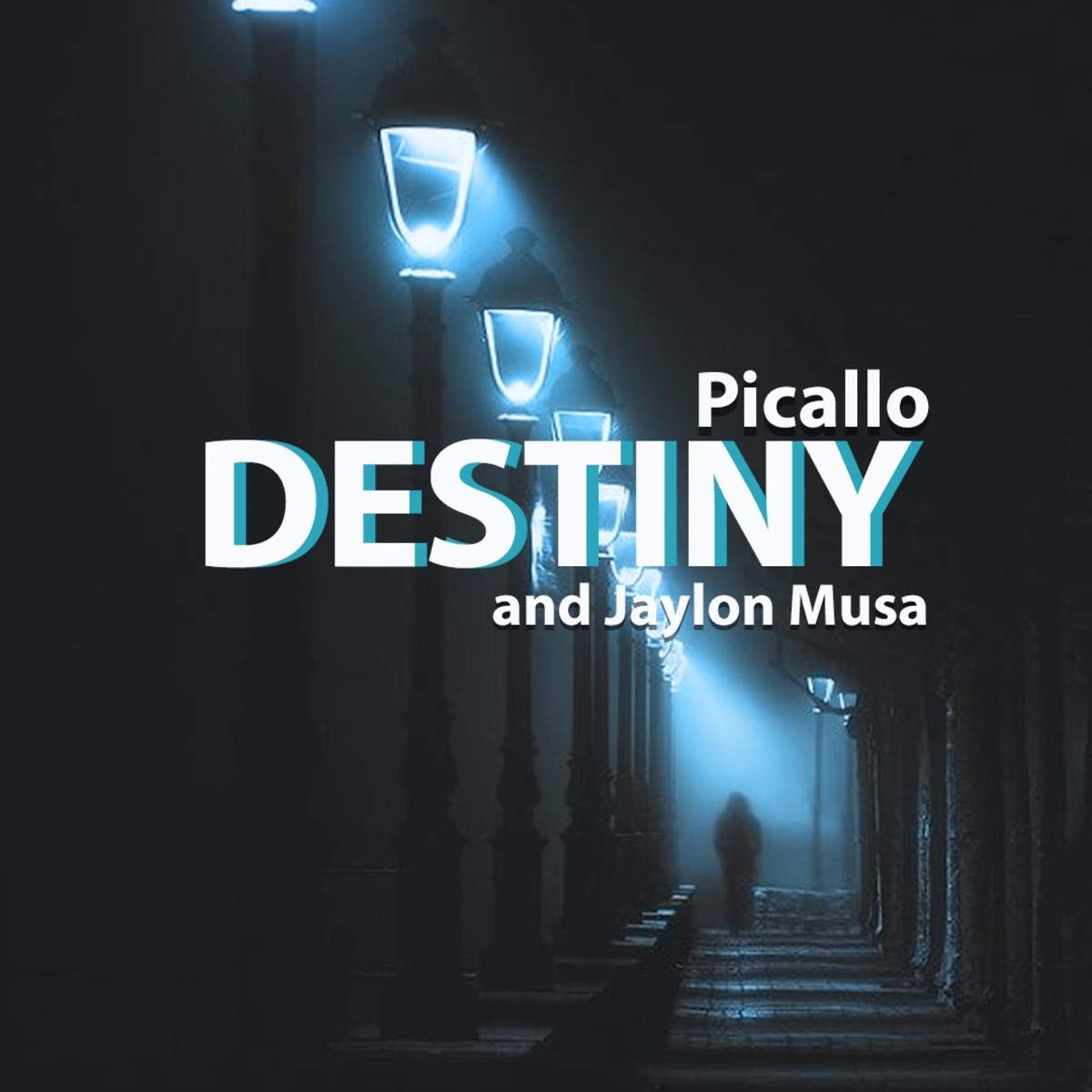 Destiny (feat. Jaylon Musa) - Single by Picallo album cover