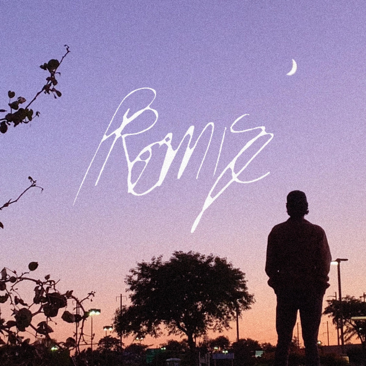 PROMISE (feat. Ok2222, fcj, Zamir, Rosarrie & Fair Dawn) - Single by SNEAKER KIDS album cover