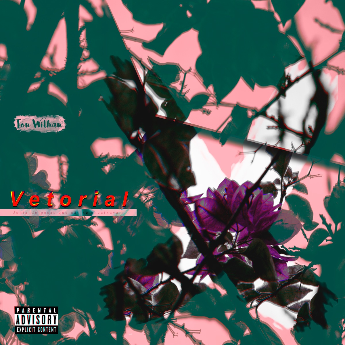 Vetorial by Ton Withan album cover
