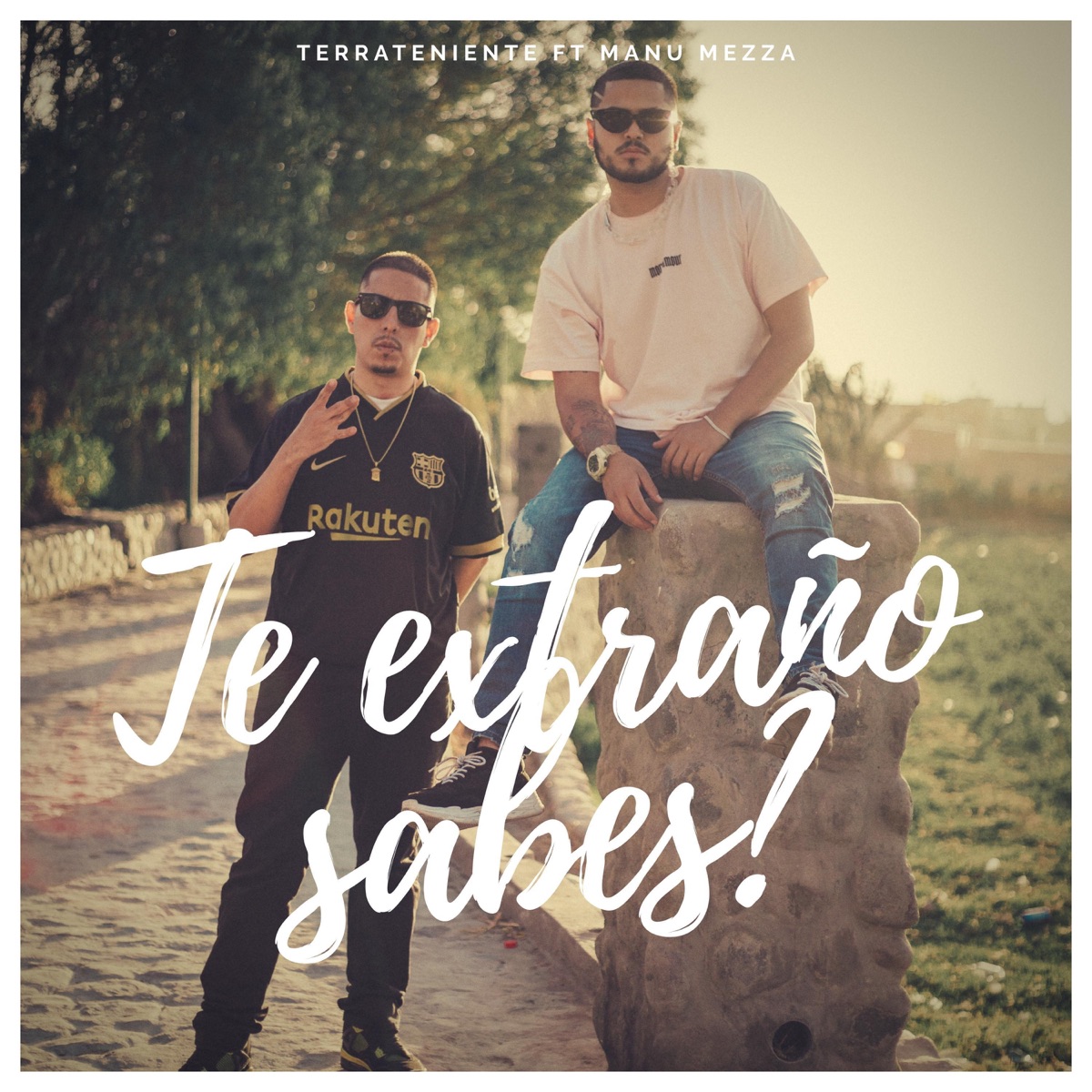 Te Extraño Sabes (feat. Manu Mezza) - Single by Terrateniente album cover
