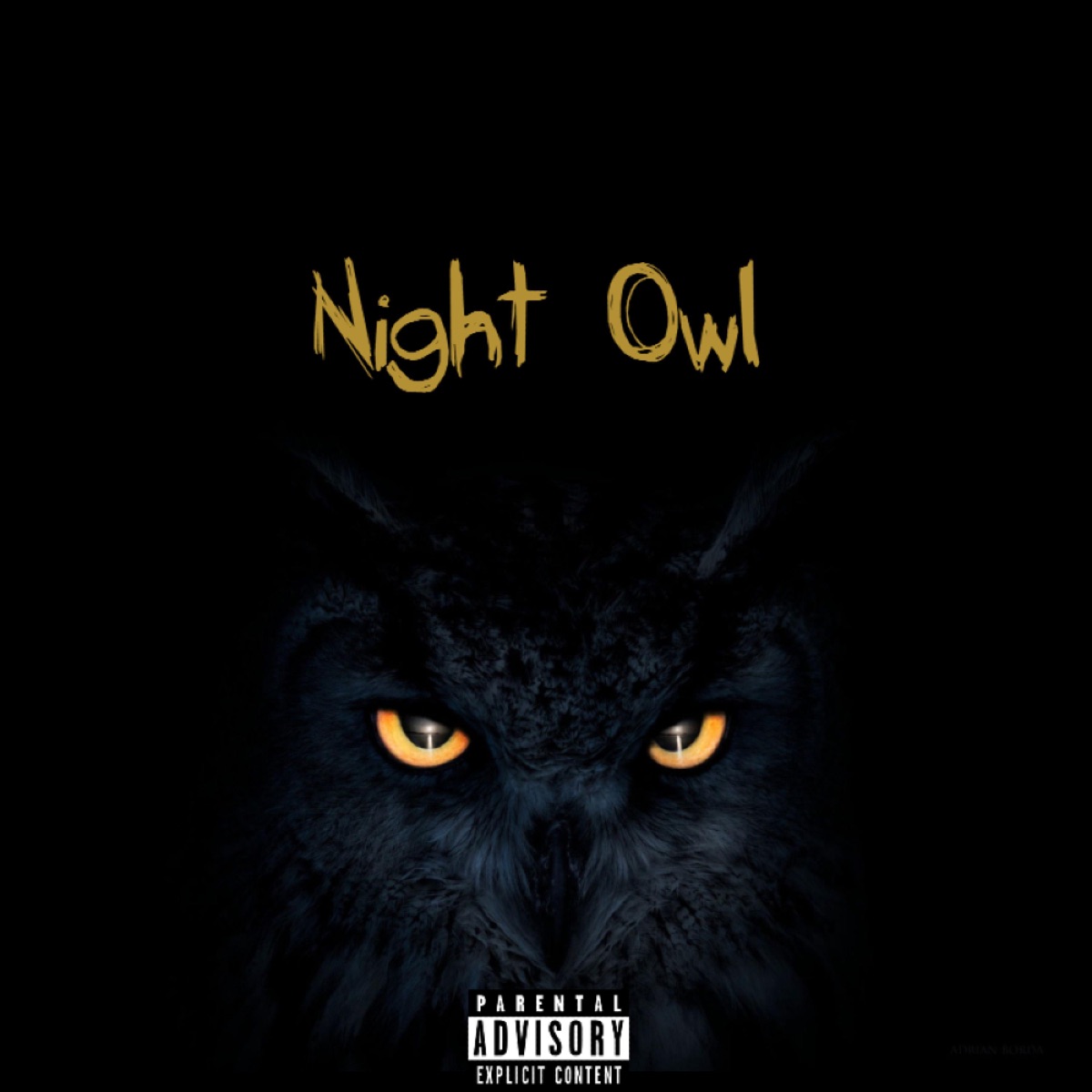 Night Owl by Dolo the God album cover
