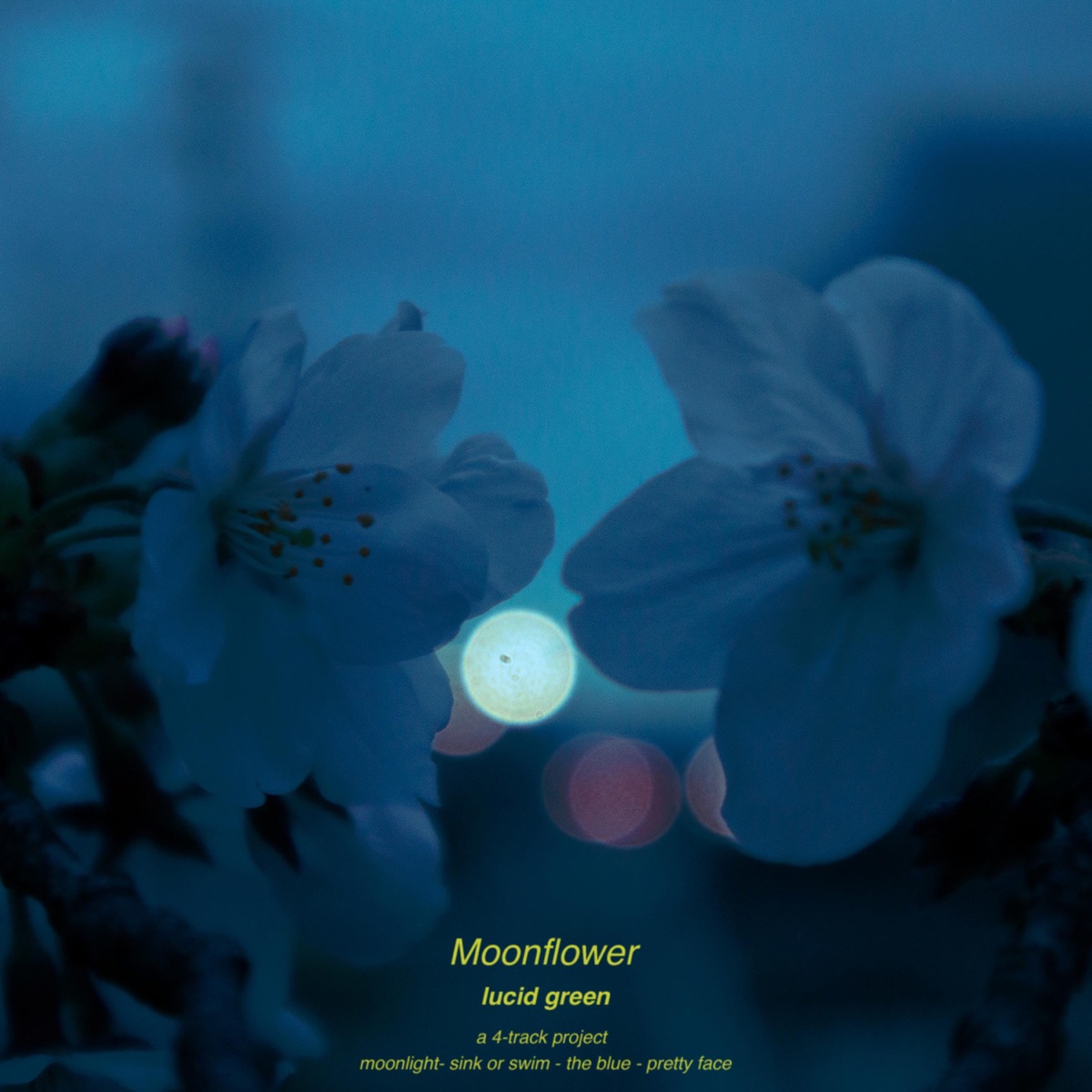 Moonflower - EP by Lucid Green album cover