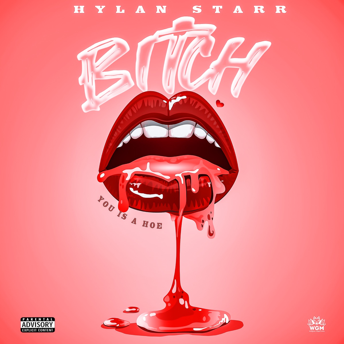 Bitch You Is A Hoe - Single by Hylan Starr album cover