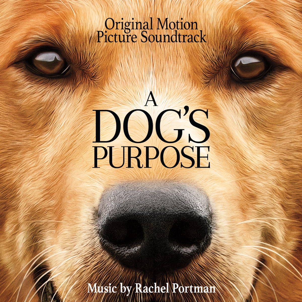 A Dog's Purpose (Original Motion Picture Soundtrack) by Rachel Portman album cover