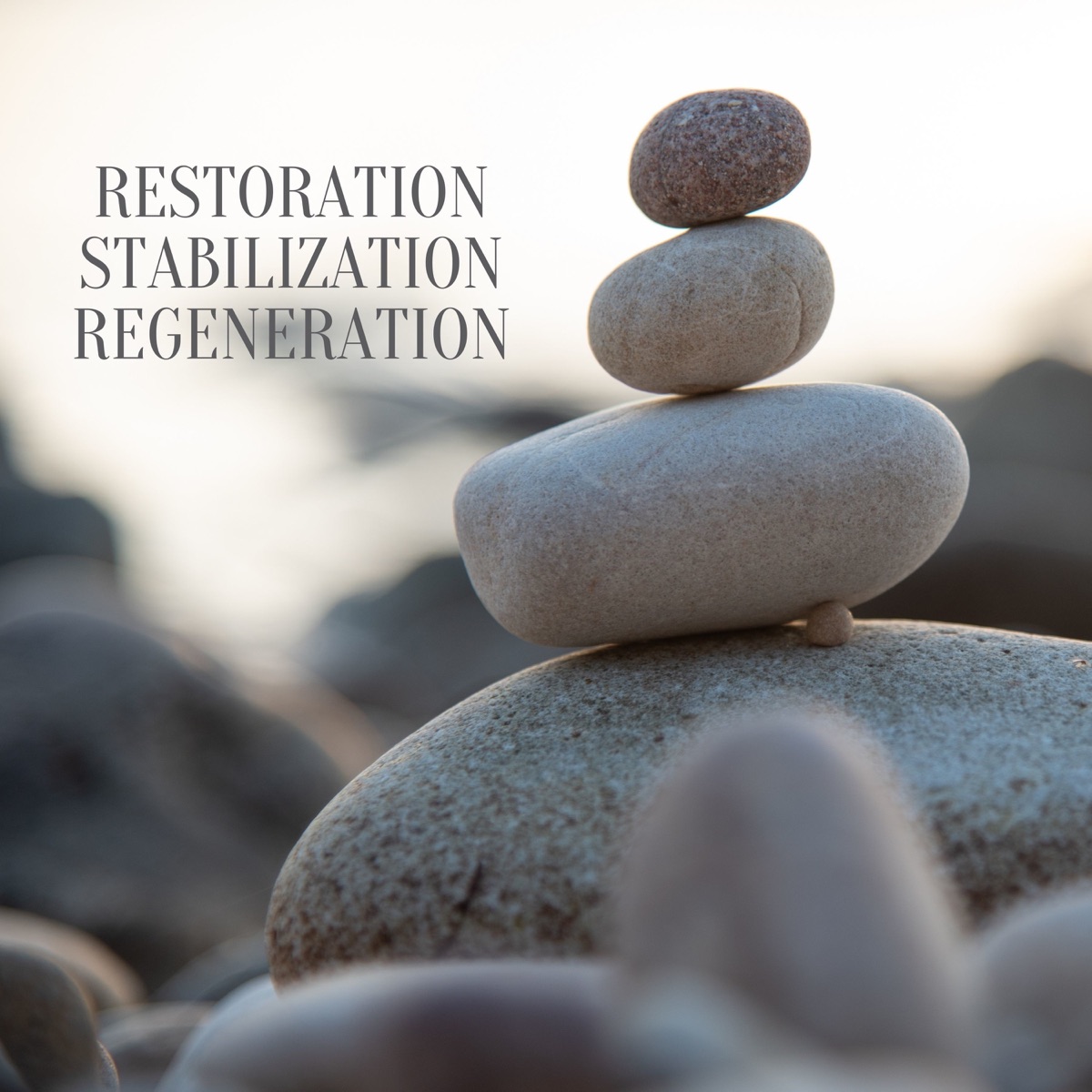 Restoration, Stabilization, Regeneration by Ben Silence album cover