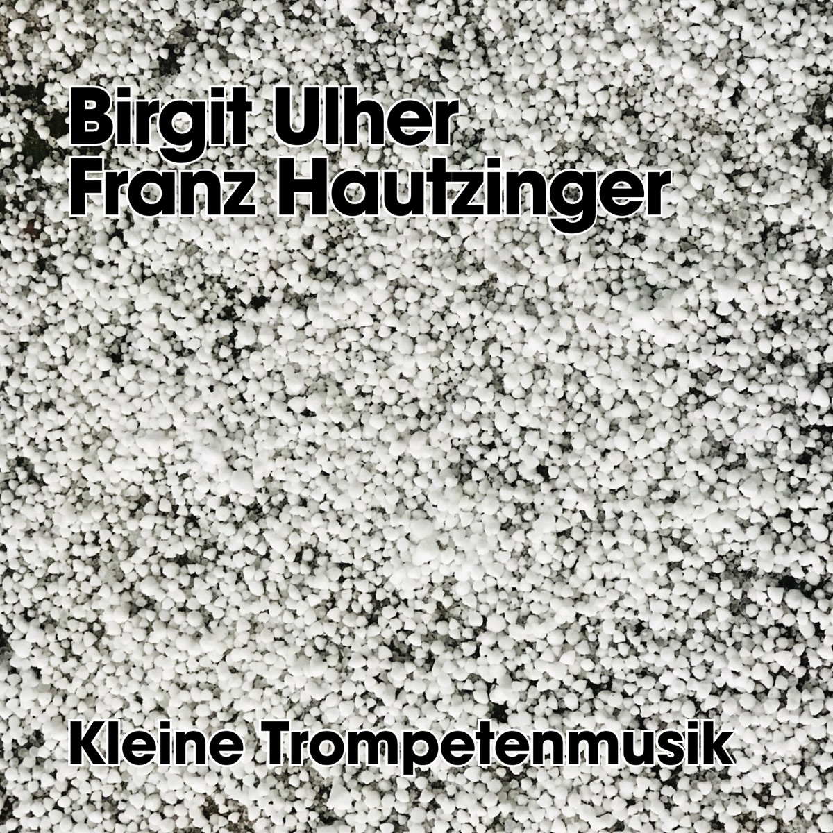 Kleine Trompetenmusik by Birgit Ulher & Franz Hautzinger album cover