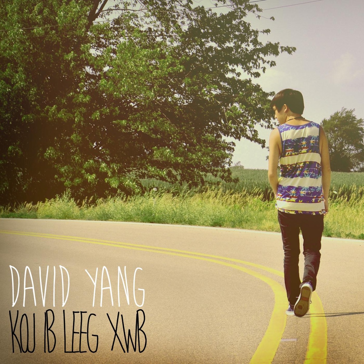 Koj Ib Leeg Xwb by Dave Yang album cover