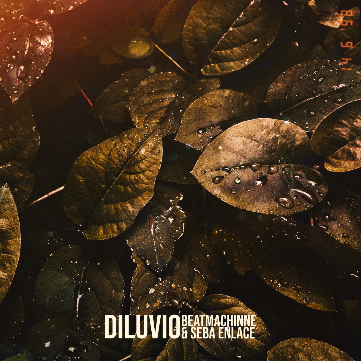 Diluvio - Single by Beatmachinne & Seba Enlace album cover