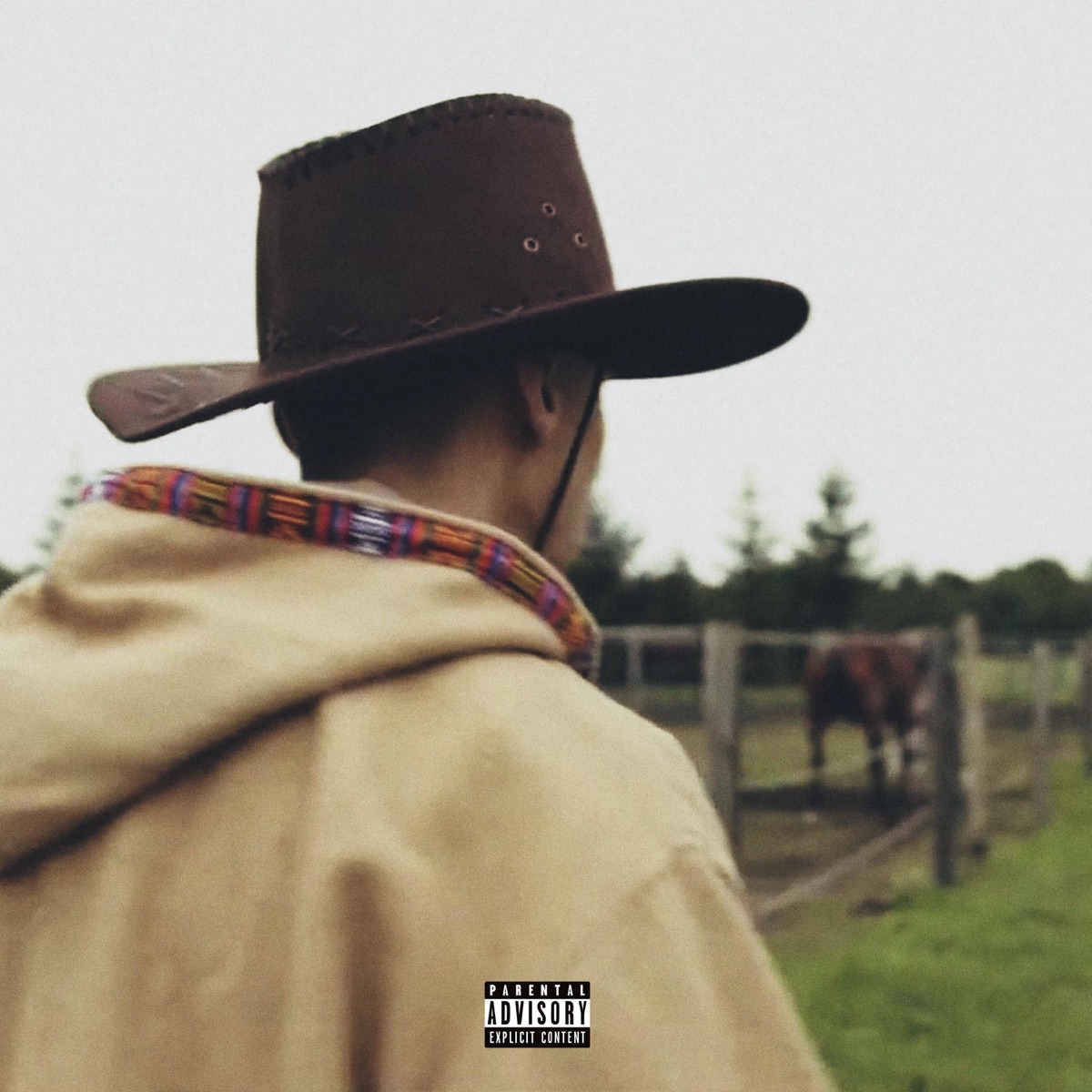 V Ohni - Single by Dokkeytino album cover