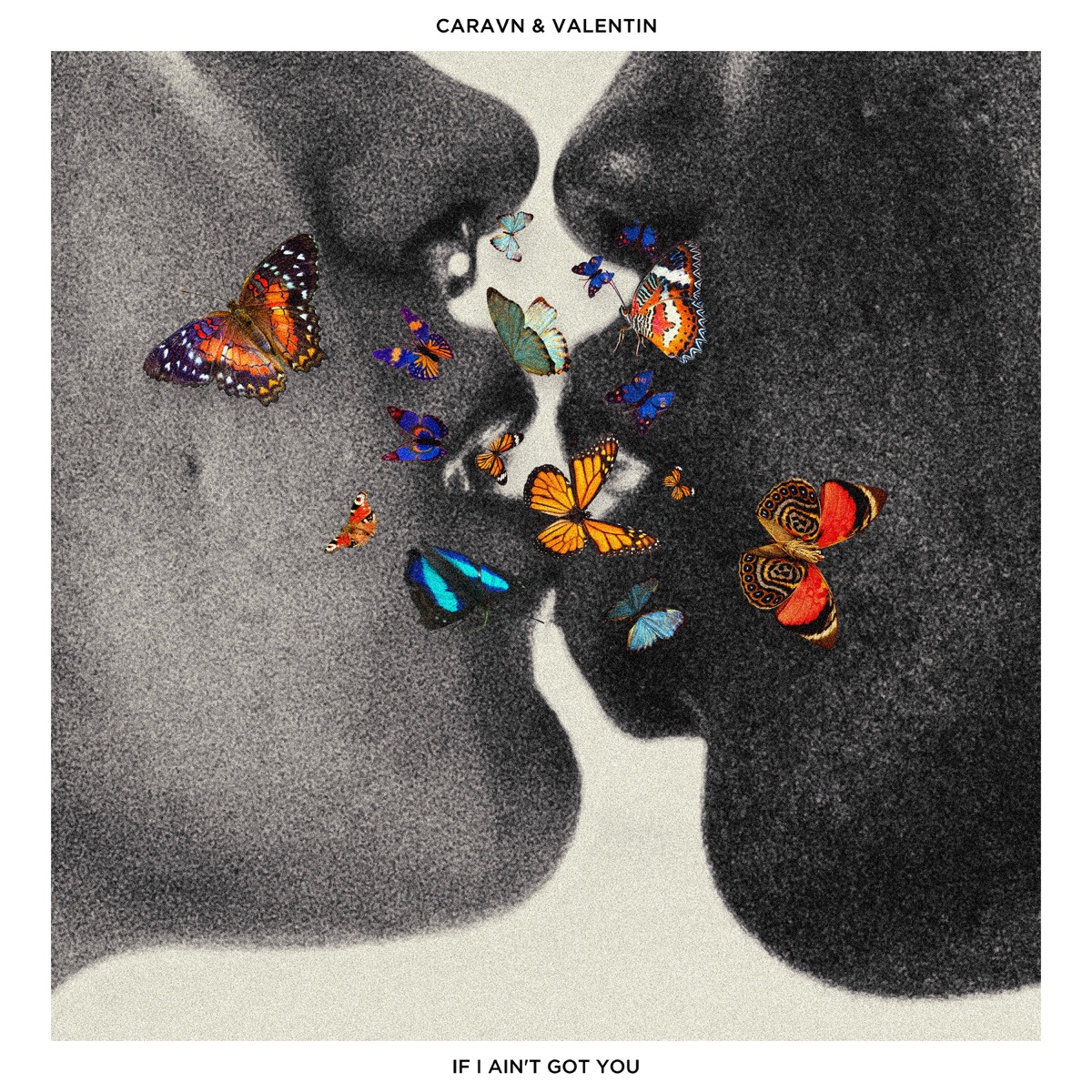 If I Ain't Got You - Single by caravan & Valentin album cover