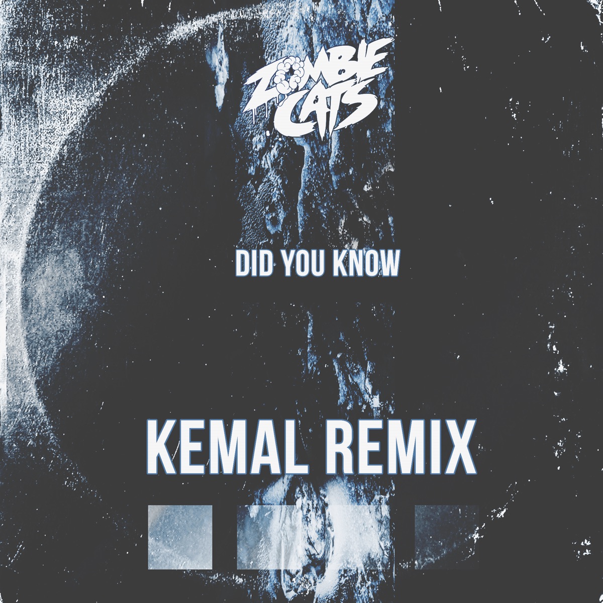 Did You Know - Single by Zombie Cats & Kemal album cover