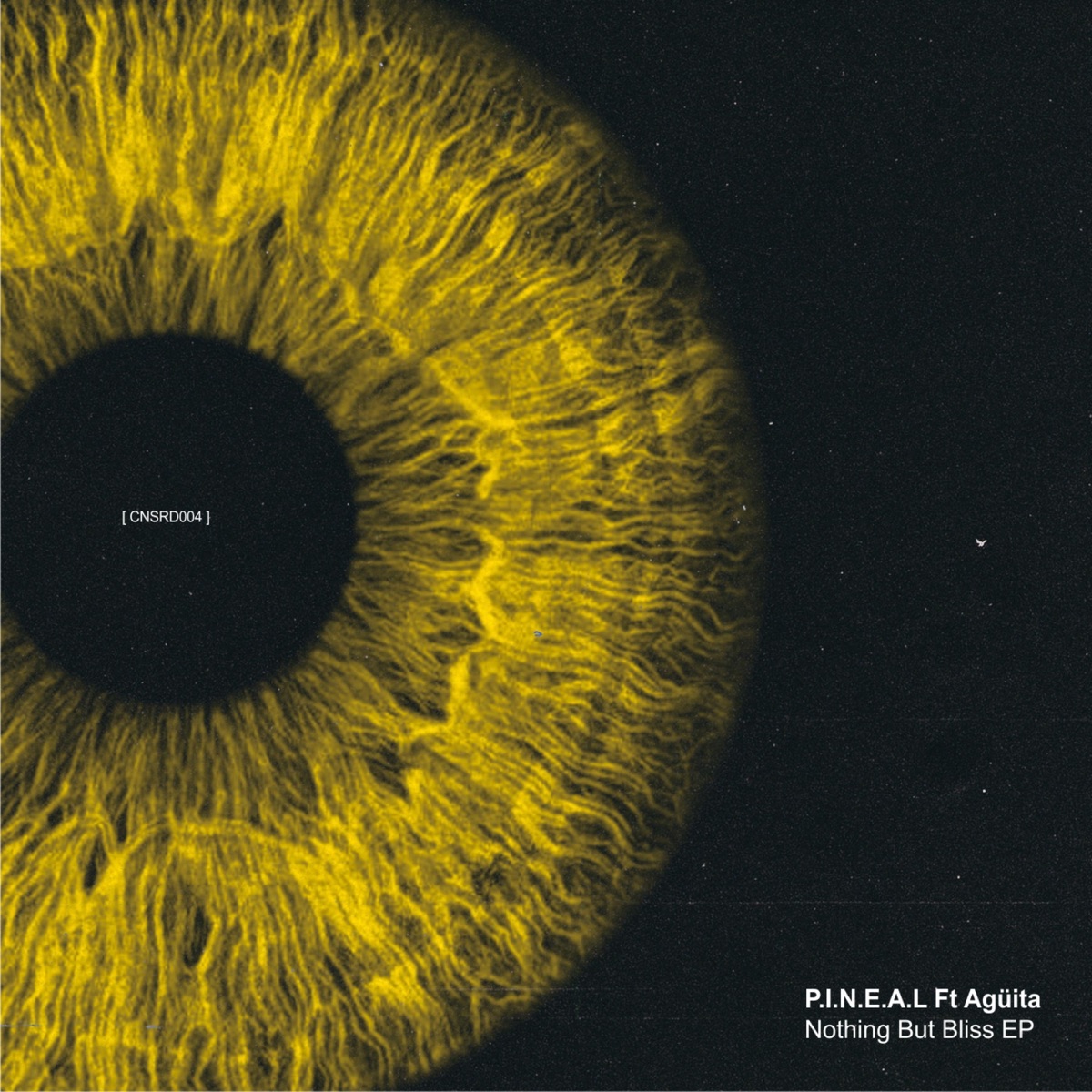 Nothing But Bliss EP by Pineal & Agüita album cover