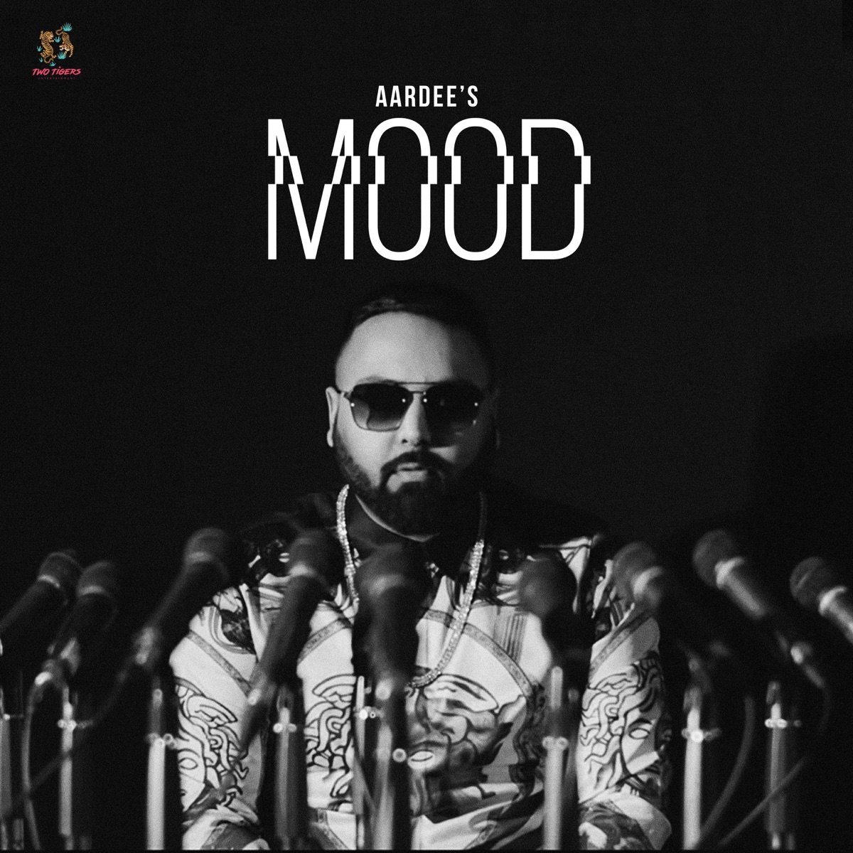 Mood (feat. Veer Karan) - Single by Aardee album cover