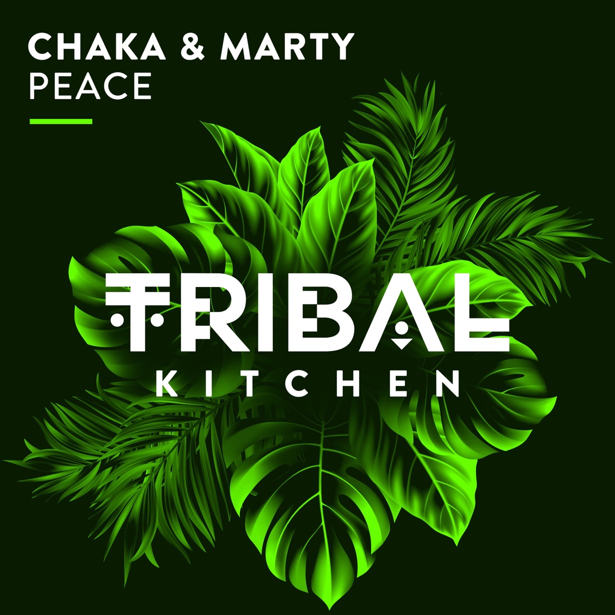 Peace - Single by Chaka & Marty album cover